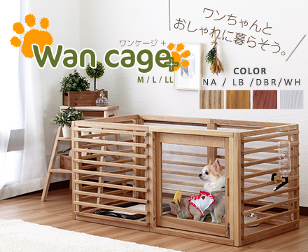 Wancage+ 【ワンケージプラス】